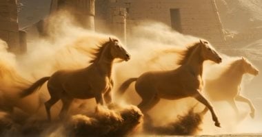 خيول “نظير” تتصدر المشهد في الترويج لبطولة العالم العسكرية للفروسية – سبق 24