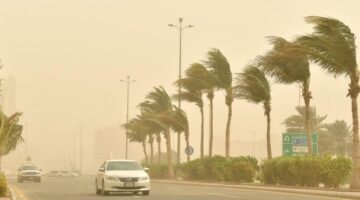 رياح نشطة على منطقة تبوك حتى السادسة مساء 