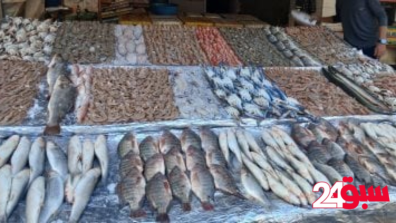 أسعار الأسماك بأسواق مطروح اليوم الخميس 22-5-2025.. االمرجان بـ140 جنيها – سبق 24