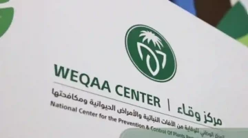 المركز الوطني يعلن عن مبادرات جديدة لدعم التنمية الوطنية وتحقيق الاستدامة