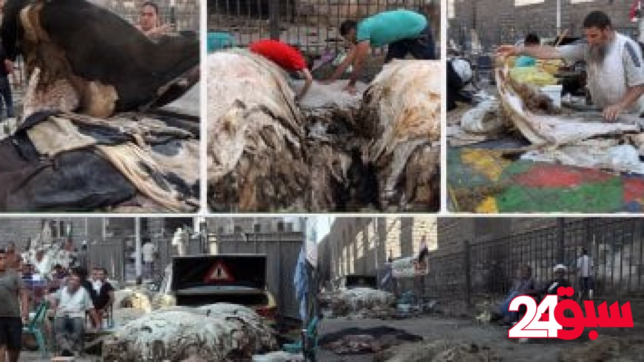 غرفة صناعة الجلود تشارك بـ 13 شركة في معرض الصين الدولي.. يونيو المقبل – سبق 24