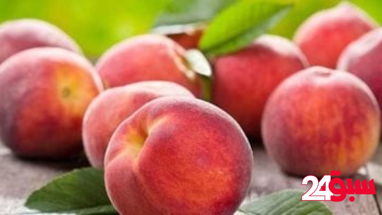 أسعار الفاكهة بأسواق محافظة مطروح اليوم السبت 24 -5- 2025.. الخوخ بـ 30 جنيه – سبق 24