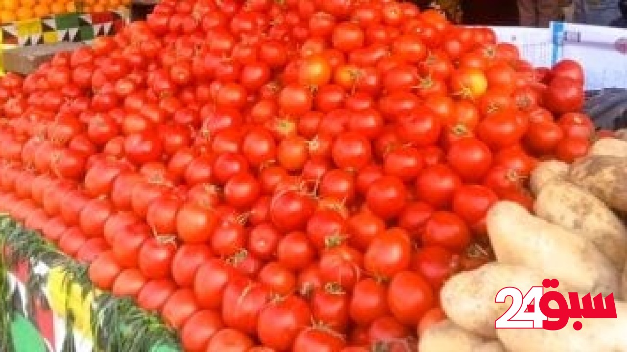 سعر الخضار والفواكه اليوم الثلاثاء 13-5-2025 فى المنوفية.. الطماطم بـ 12جنيها – سبق 24