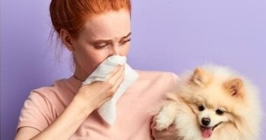 شركة أمريكية تطلب موظفا لشم أنفاس الكلاب مقابل 25 دولارا فى الساعة – سبق 24