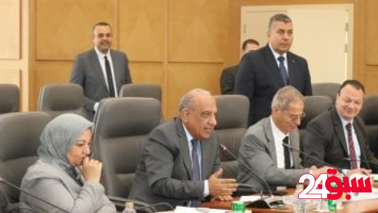 وزير الكهرباء يجتمع بالنائب الأول لـ”روسآتوم” لمتابعة تنفيذ مشروع الضبعة – سبق 24