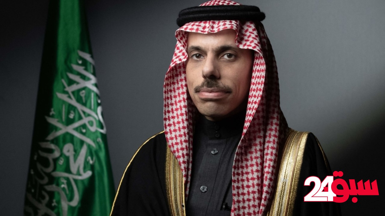 وزير الخارجية يبحث المستجدات الإقليمية والدولية مع نظيرته النمساوية