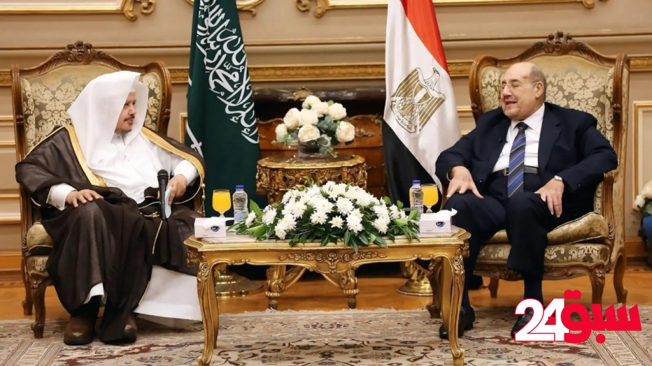 رئيس الشورى يبحث سبل التعاون الثنائي مع رئيس الشيوخ المصري