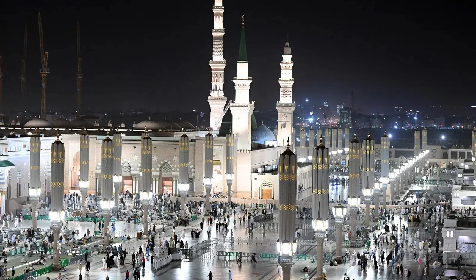 فرص تطوعية في تعليم المدينة خلال موسم حج 1446هـ