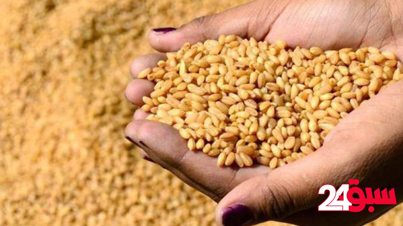 طرح المناقصة الثالثة لهذا العام لاستيراد 655 ألف طن قمح