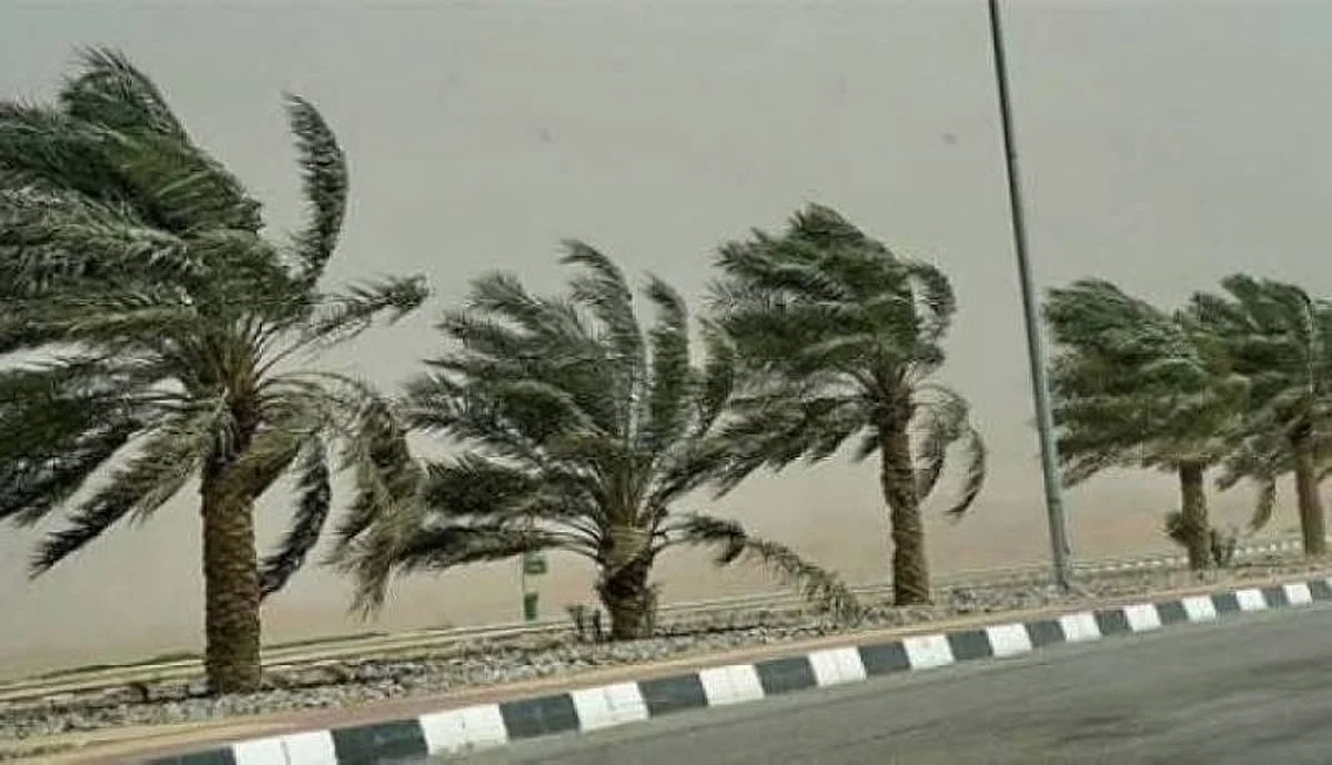 <p>بالتأكيد، إليك عدة صياغات احترافية للعنوان تتوافق مع معايير أخبار جوجل:</p>
<p><strong>الخيار 1 (الأكثر إثارة وجذباً):</strong></p>
<p>طقس اليوم: تحذير عاجل من رياح مثيرة للأتربة تضرب الرياض والمدينة والشرقية.</p>
<p><strong>الخيار 2 (أسلوب خبري مباشر):</strong></p>
<p>طقس اليوم: الأرصاد تُنبّه من موجة غبار ورياح نشطة على 3 مناطق.</p>
<p><strong>الخيار 3 (تركيز على التأثير):</strong></p>
<p>طقس السعودية: رياح نشطة تثير الأتربة والغبار على مناطق واسعة بالمملكة.</p>